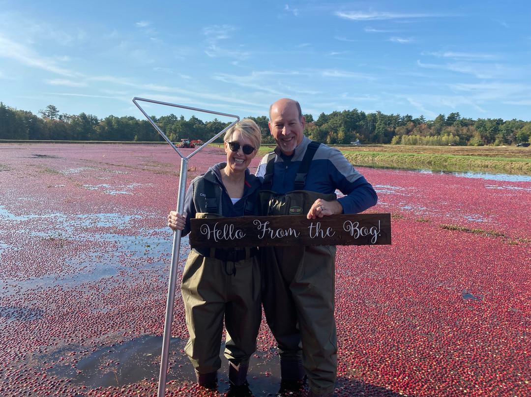 Benson's Pond Cranberry Family Farm