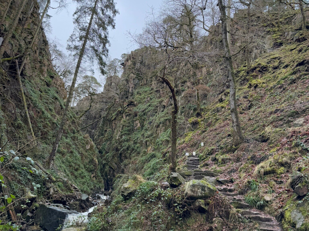Stanley Ghyll Force Waterfall景点图片