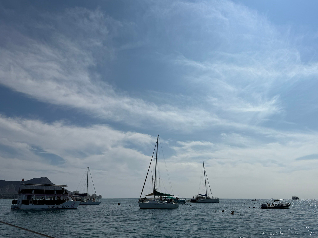 Waikiki Sailing Company-火奴鲁鲁必去景点