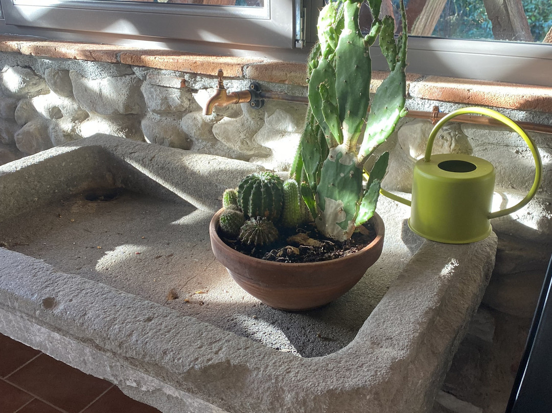 Casale La Gora主图