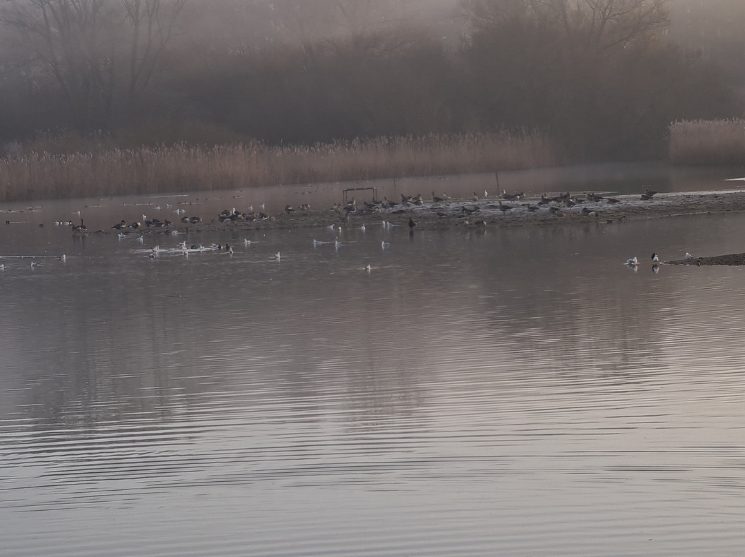 Lackford Lakes景点图片
