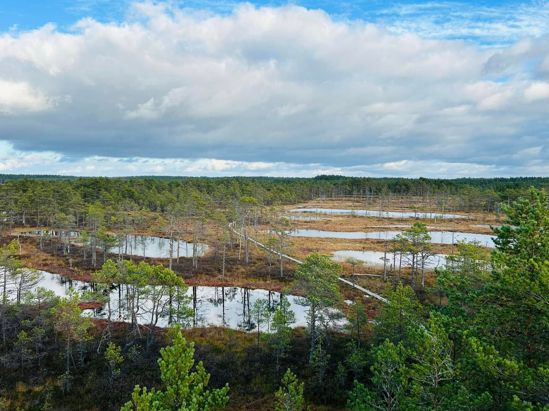 Viru Bog Trail-Kolga必去景点