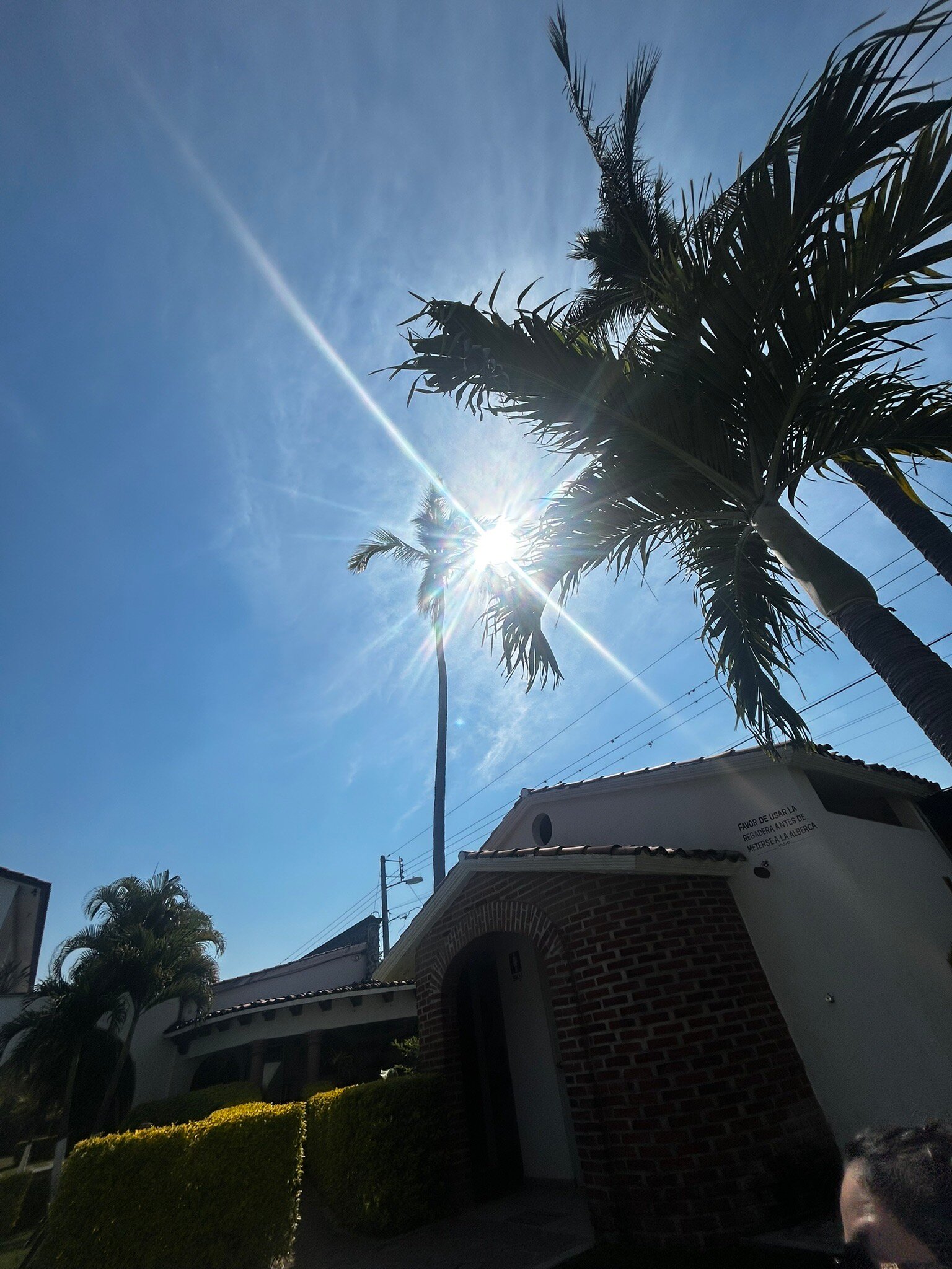 Hotel SKY & PALMS-官方