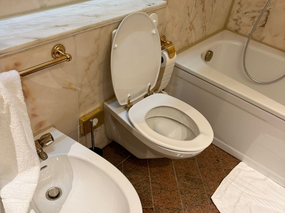 巴特维尔东根玛丽蒂姆巴德酒店主图