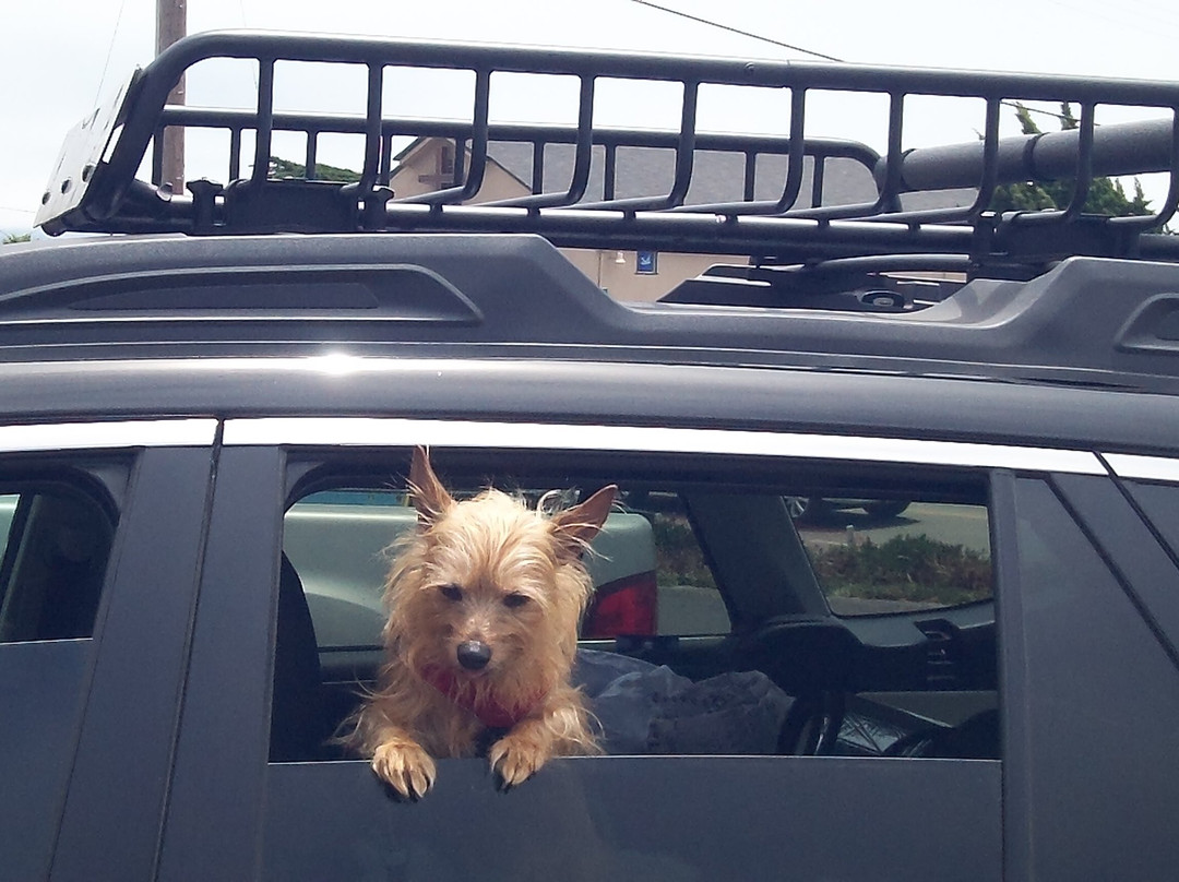 卡尤寇斯海滩酒店主图