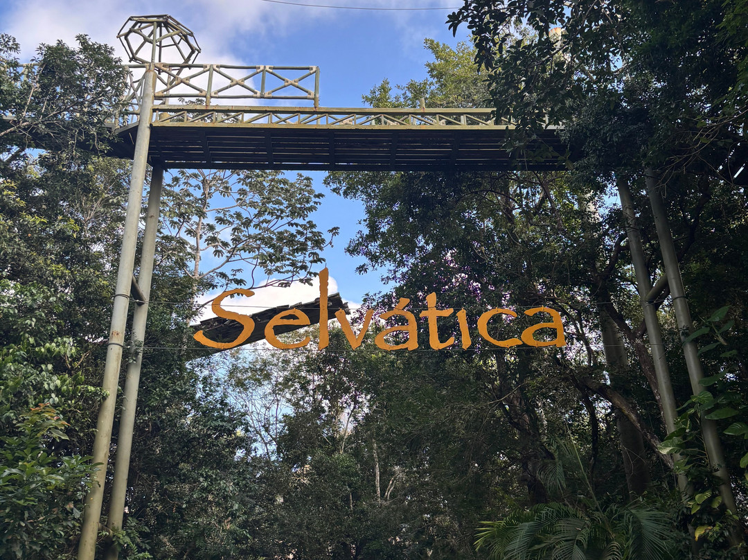 Off Road Cancun-坎昆必去景点