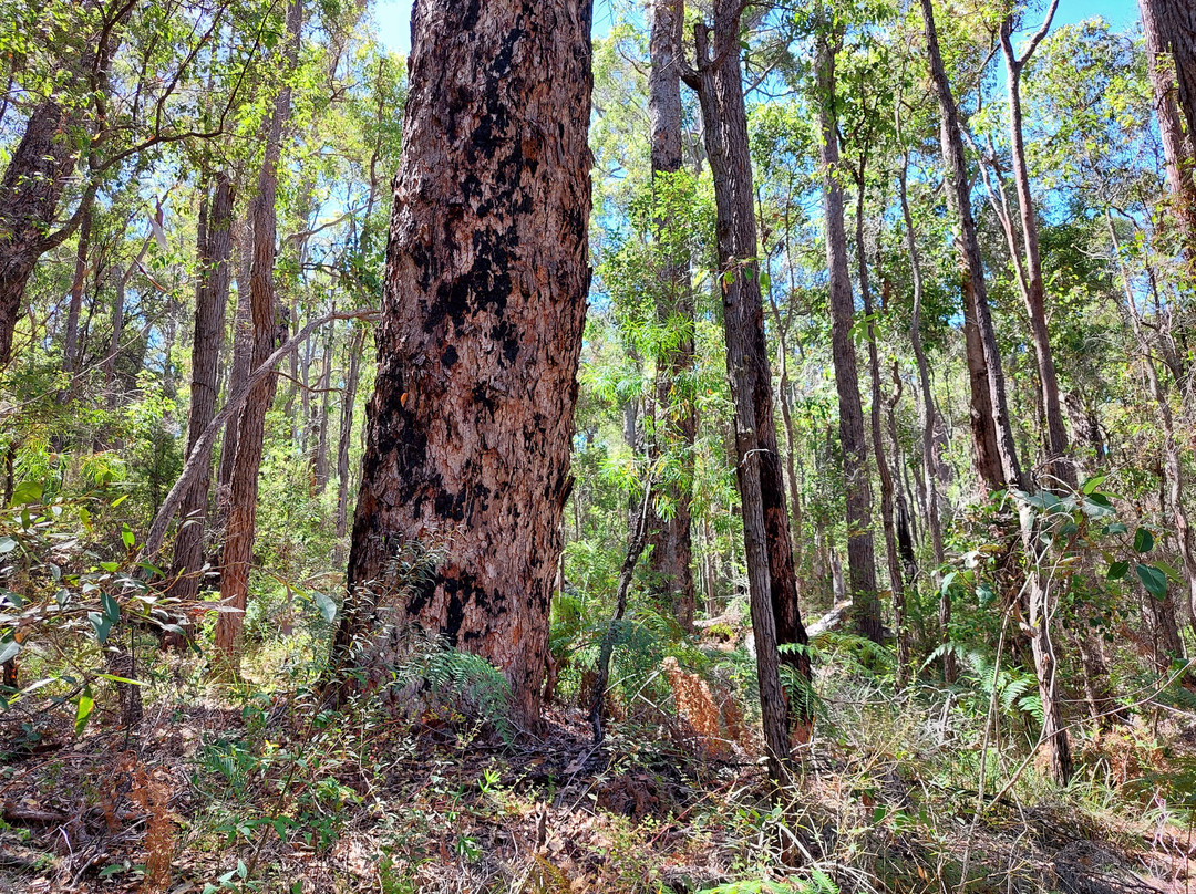 Bridgetown Jarrah Park