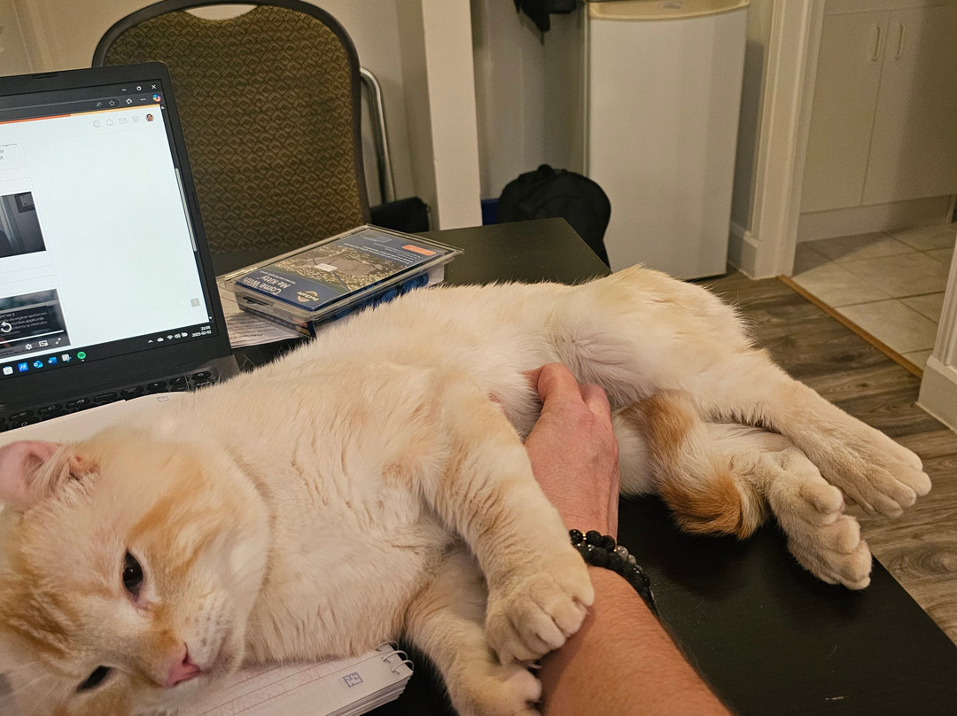 Motel des Cascades主图