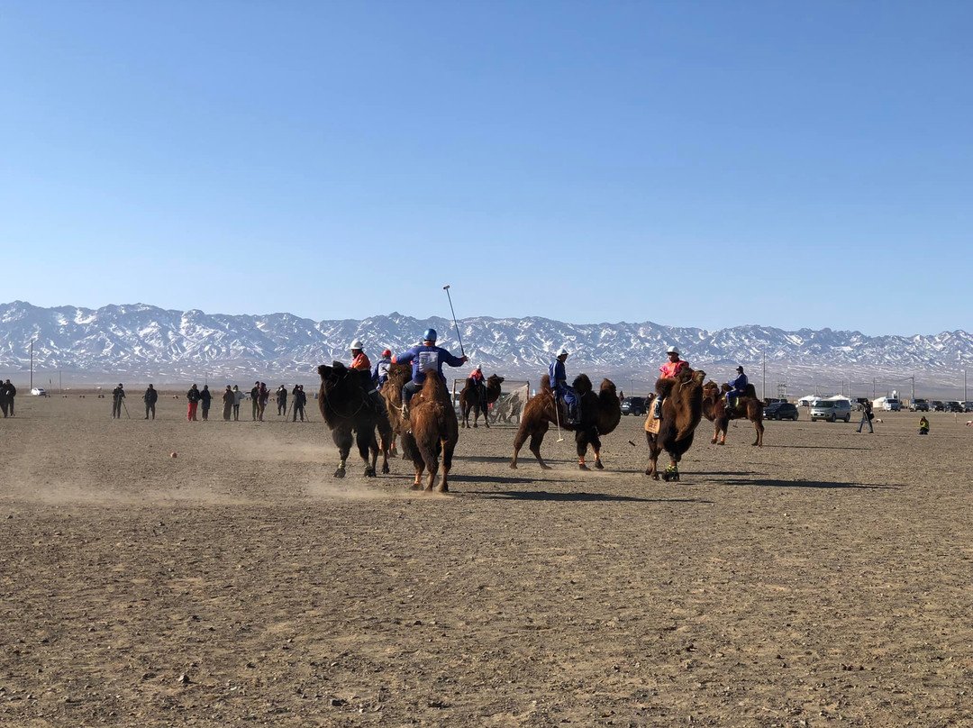 The Gobi Desert Thousand Camel Festival-Dalanzadgad必去景点