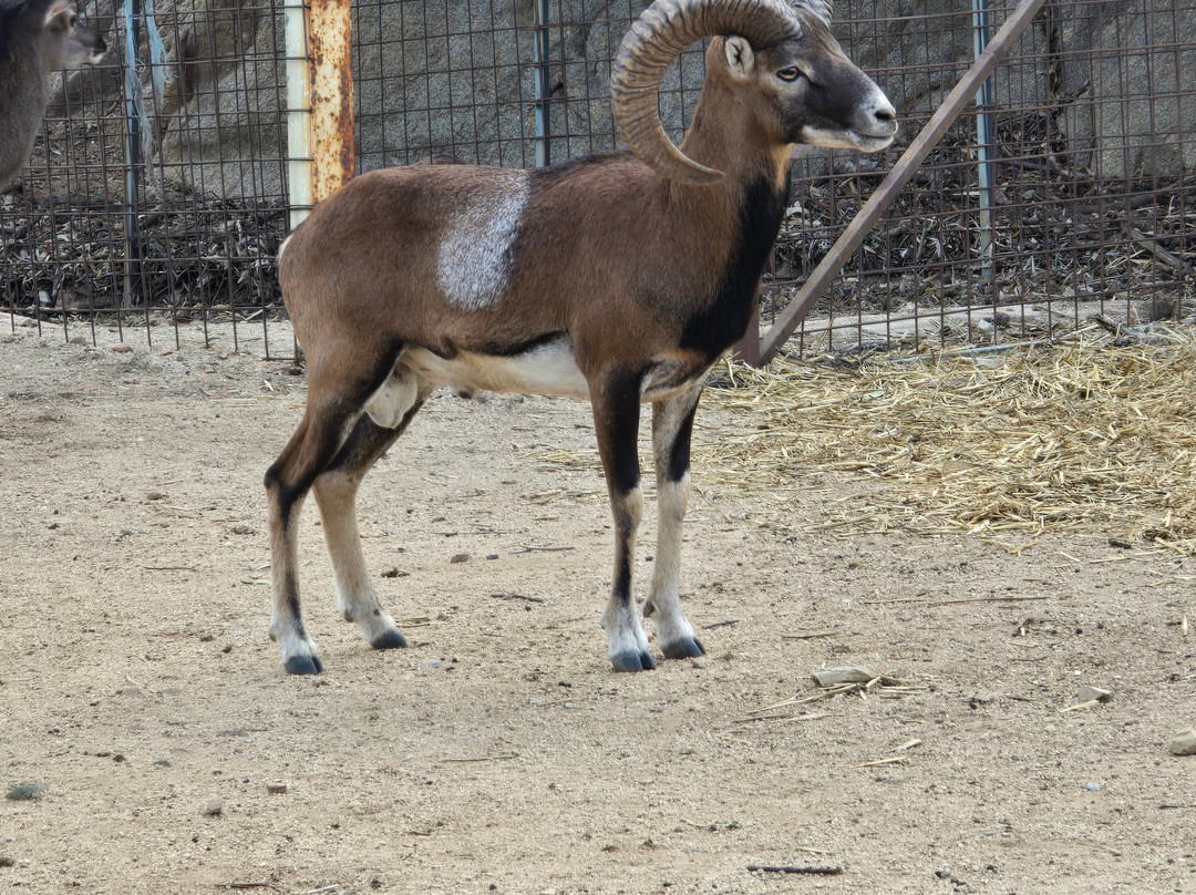 Parco Naturalistico Bellavista-Arbatax必去景点