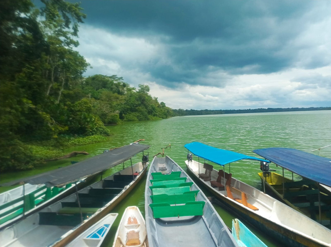 Limoncocha National Biological Reserve-Limoncocha必去景点