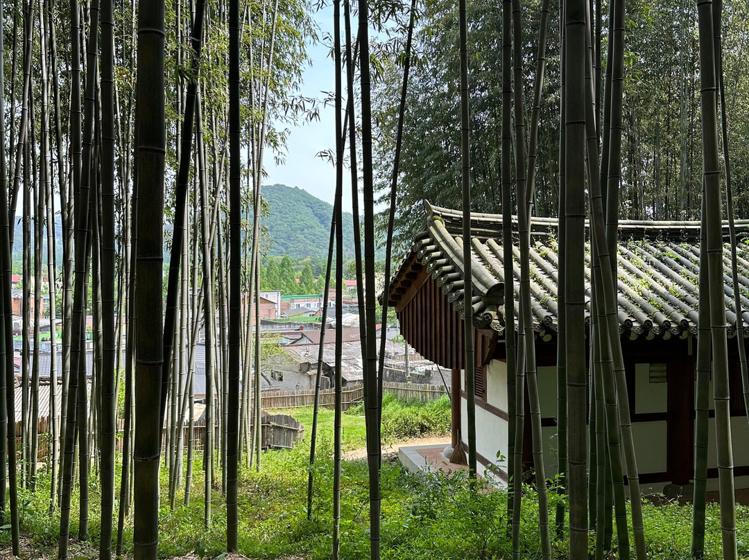 Damyang Juknokwon-潭阳郡必去景点