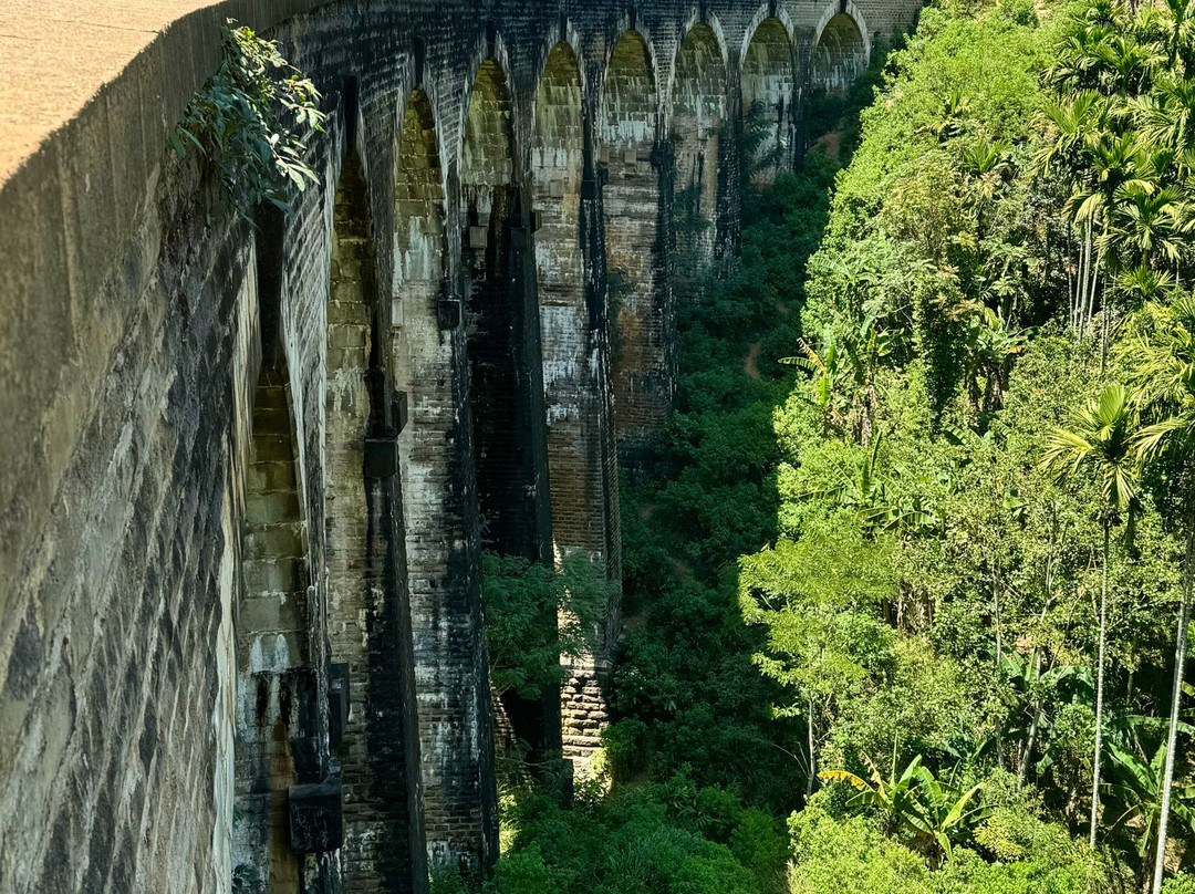 V Travel Sri-Lanka Excursions景点图片