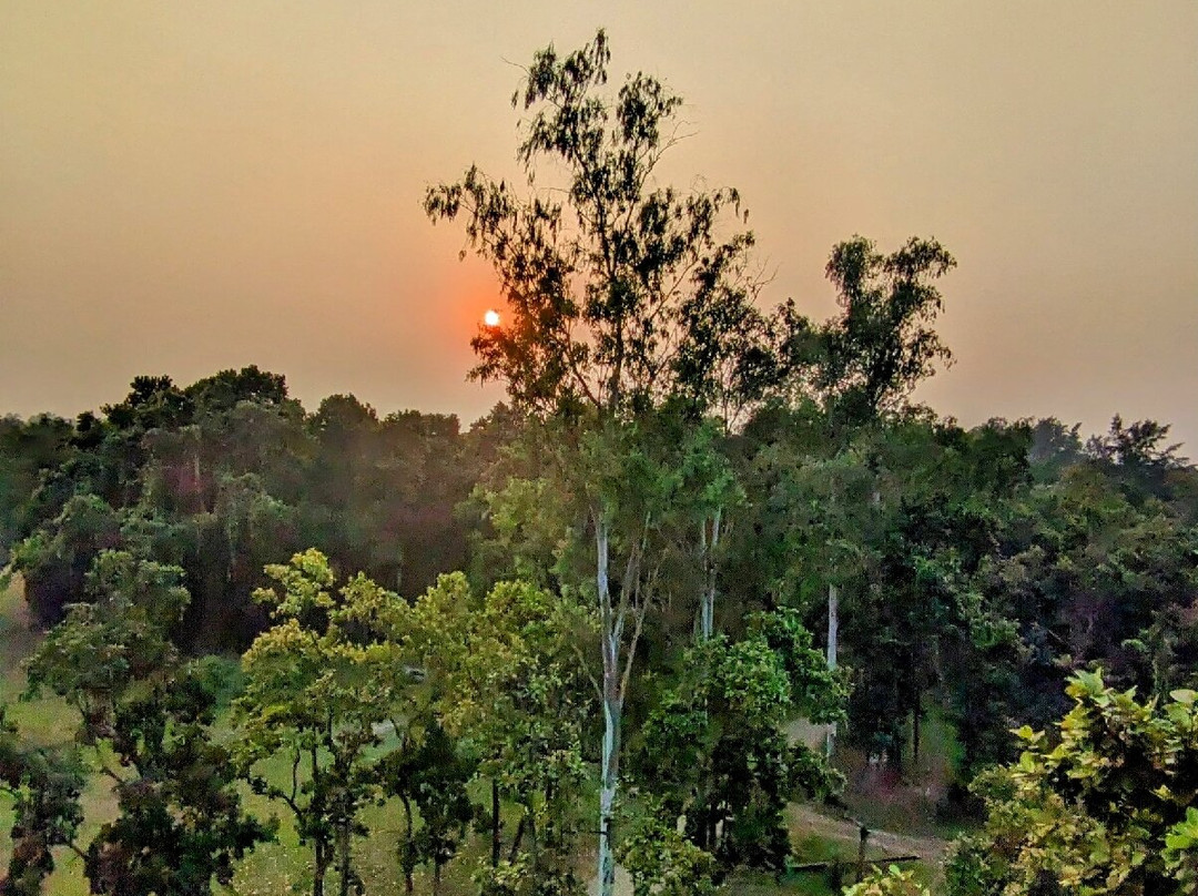 Bhawal National Park-Gazipur必去景点