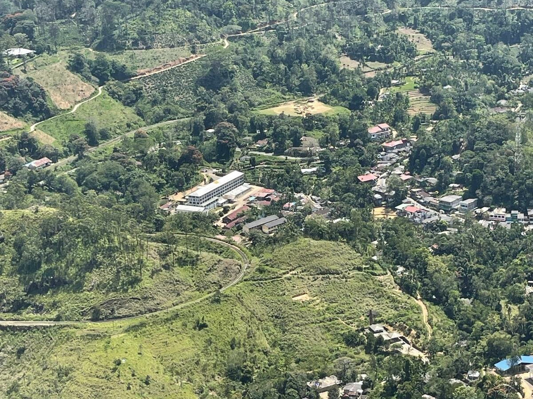 Windy Hill Viewpoint-埃勒必去景点