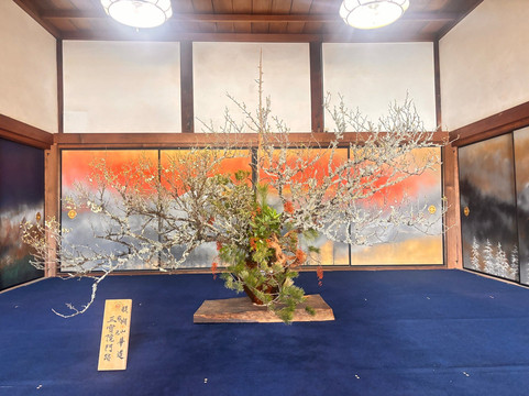 Daigo-ji Temple Sanboin Palace Garden-京都市必去景点