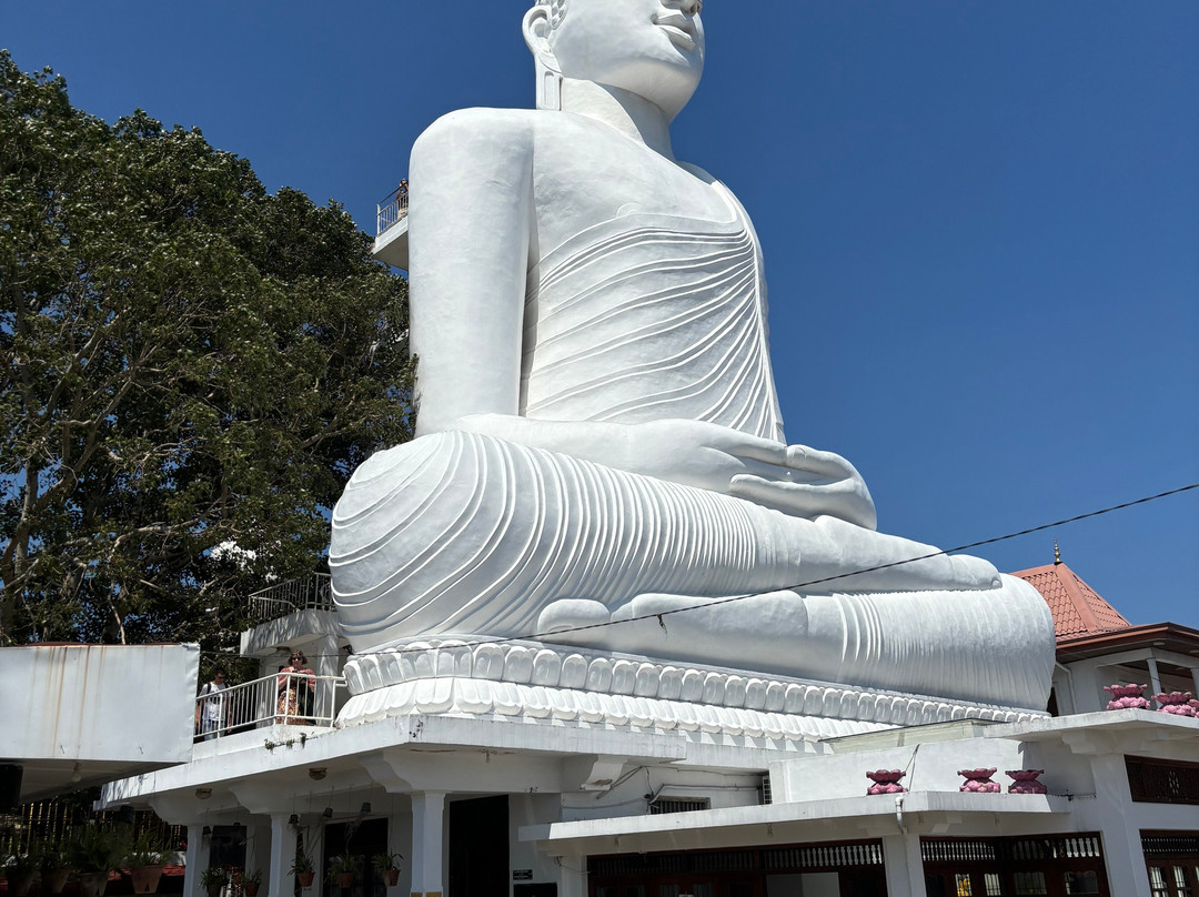 Kandy Blossom Tours景点图片