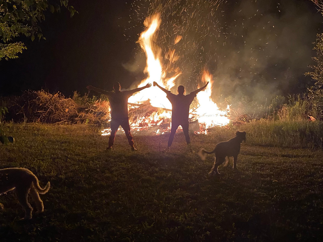 Silver Birches Resort主图