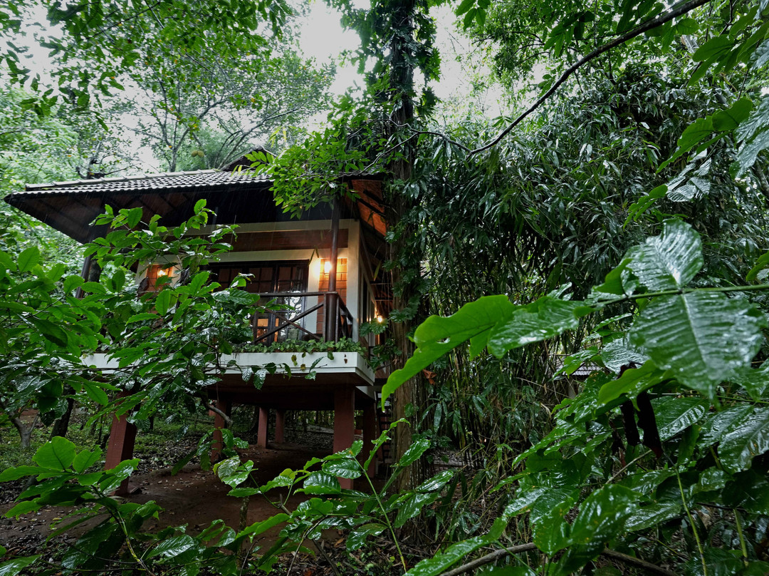 Coffee Acres Plantation Resort主图