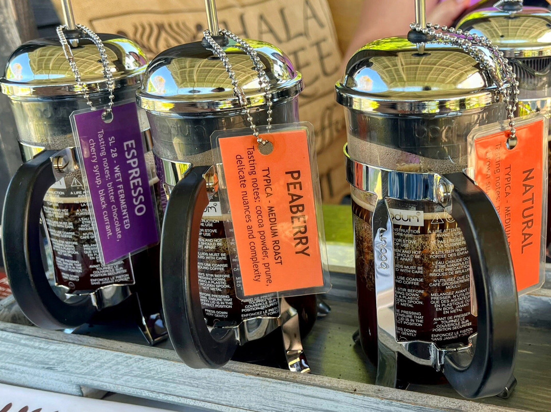 Hala Tree Coffee-库克船长必去景点