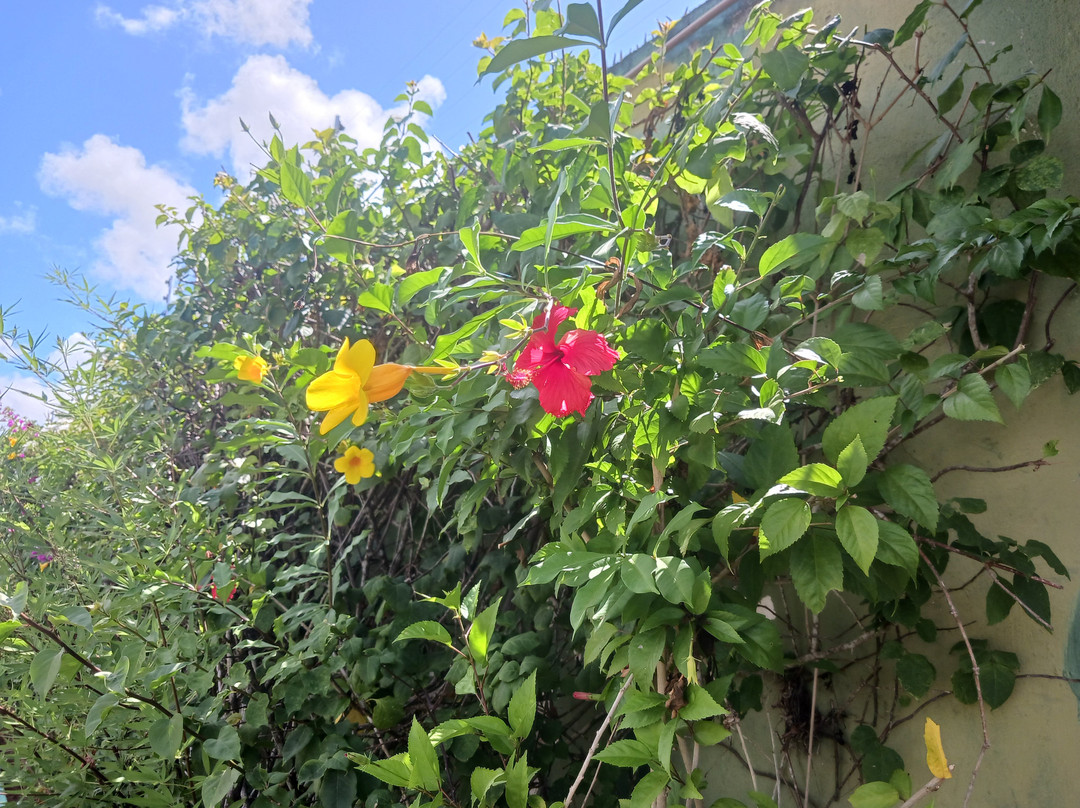 Hotel Pousada Rancho Fundo主图