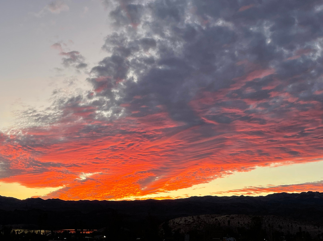 Katherine Landing at Lake Mohave Marina-Bullhead City必去景点