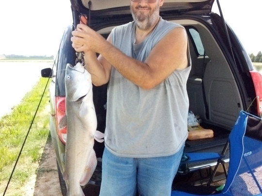 Steve's Farm-Walnut Hill必去景点