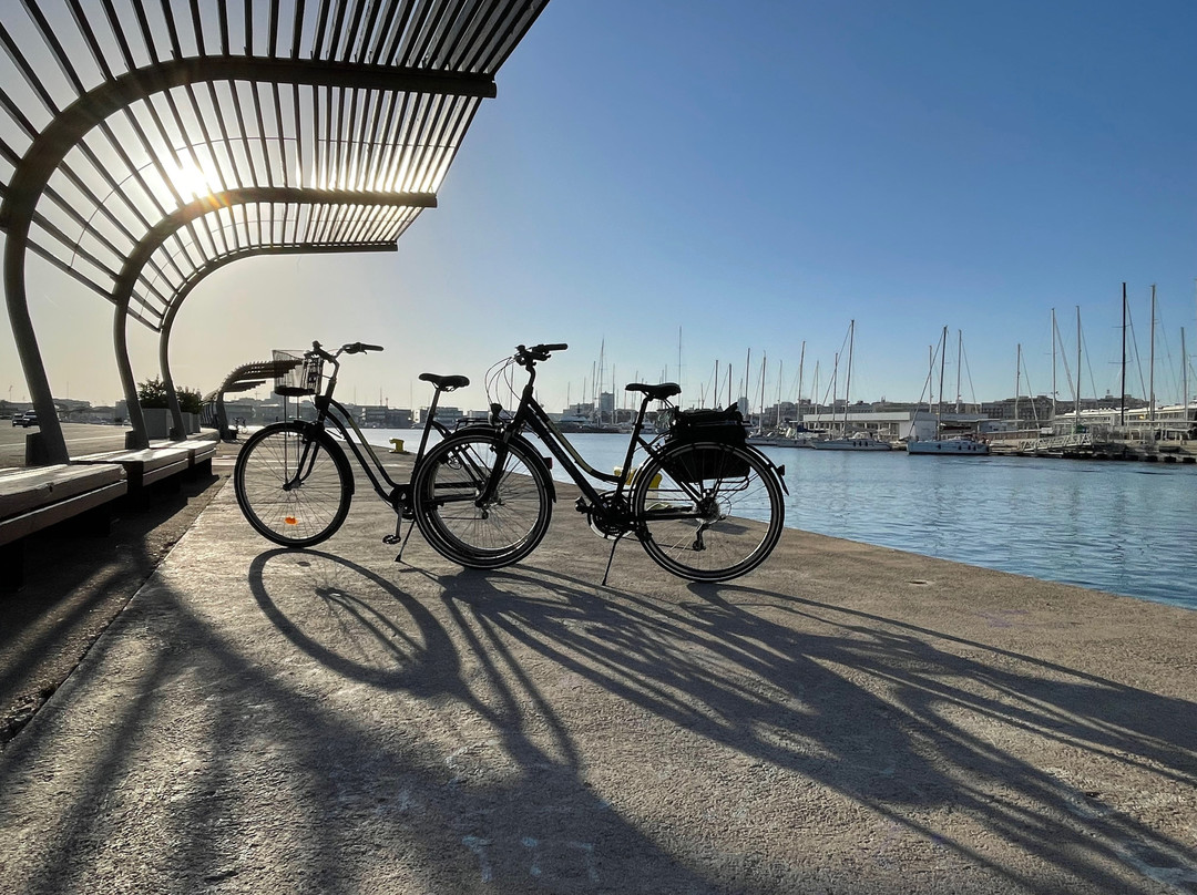 BikeAlao - Bike Rental and Tours in Valencia景点图片