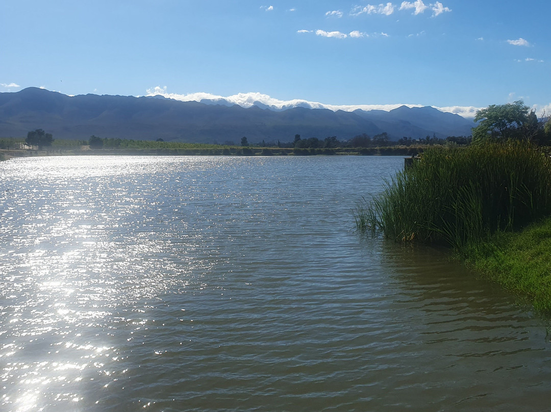 Waterside Le Bonheur Croc Farm主图