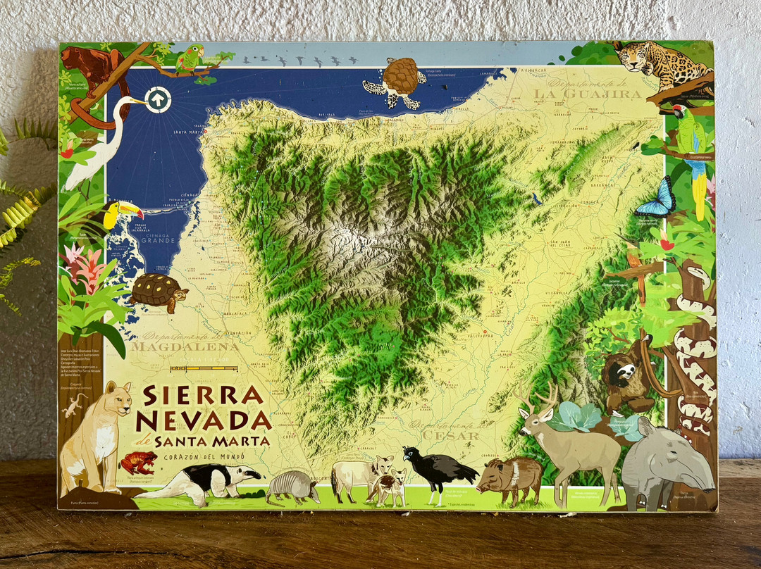 Sierra Alta Finca Boutique主图