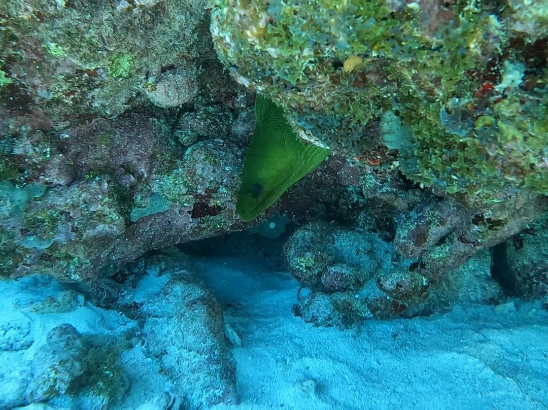 Key Dives-伊斯拉摩拉达必去景点