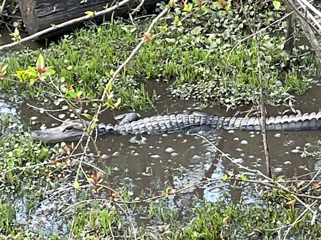 Peace River Charters-阿卡迪亚必去景点