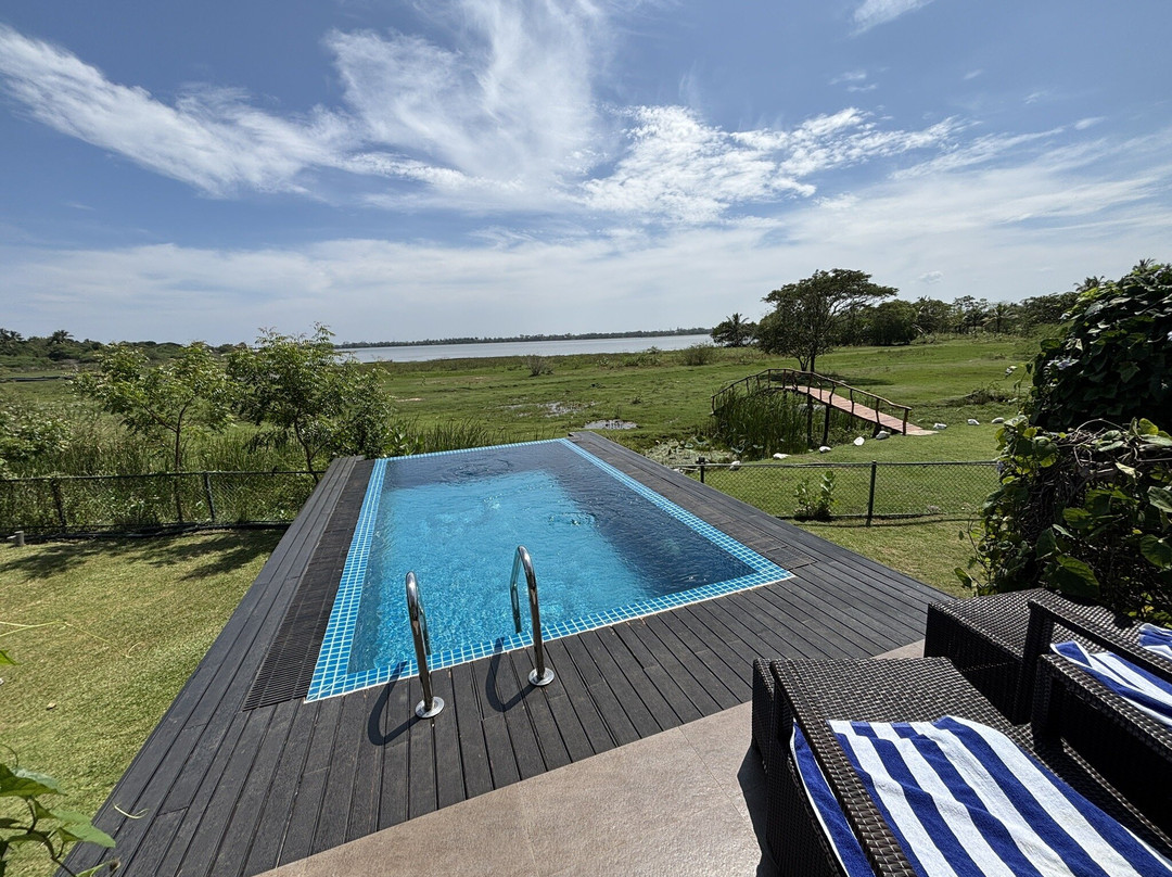 Blue Wild - Yala主图