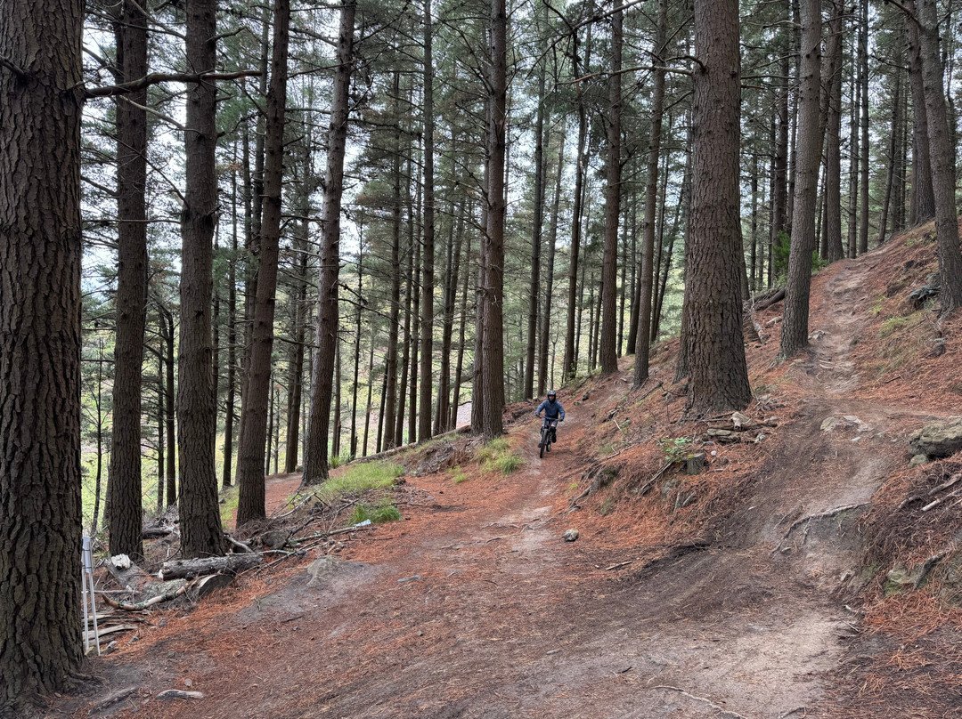 Christchurch Adventure Park-基督城必去景点