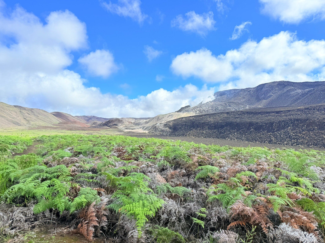 Sierra Negra-伊莎贝拉岛必去景点