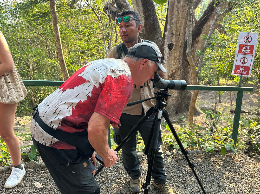 Macaw Recovery Network景点图片