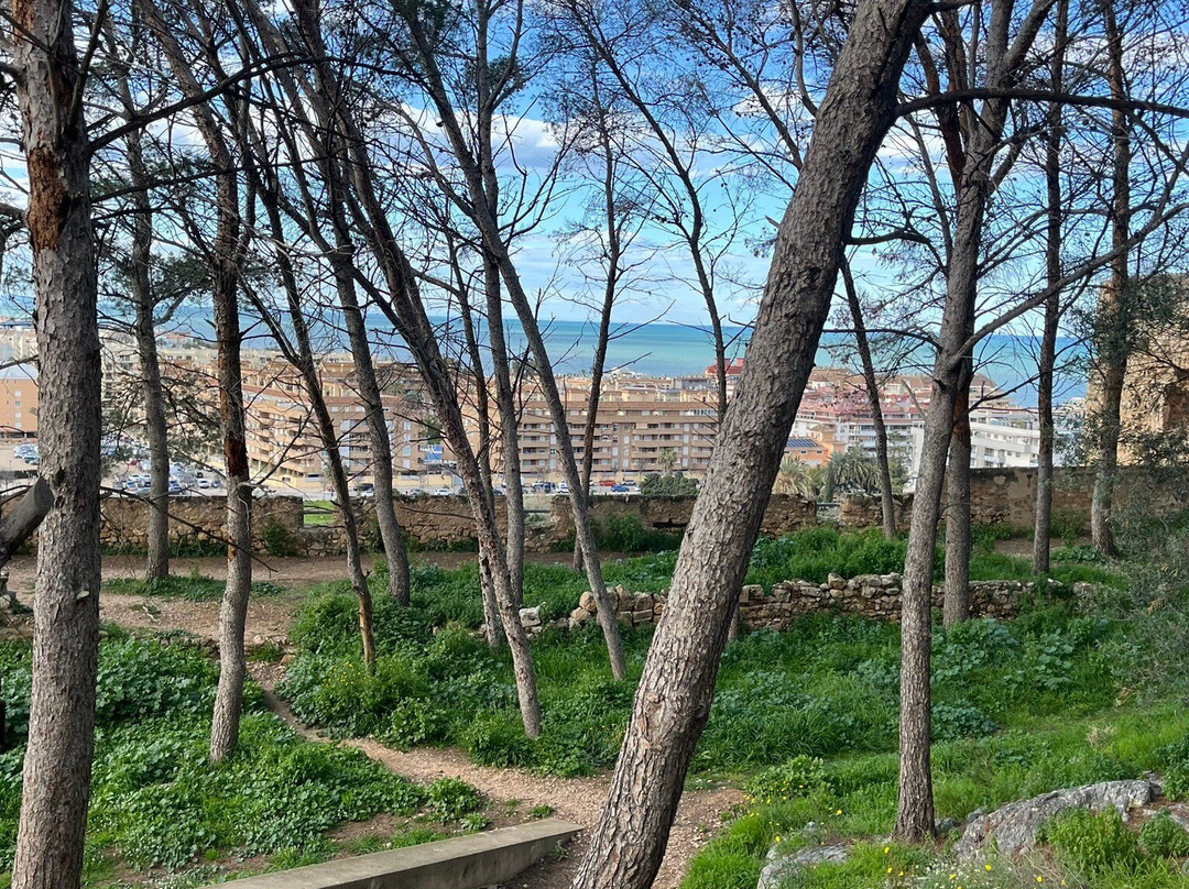 Denia Castle and Archaeological Museum景点图片