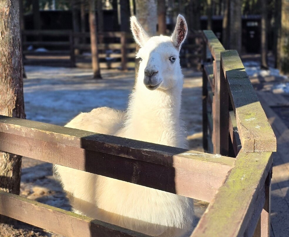 Russkiye Sezony Kurort Peresvet . Park Hotel主图