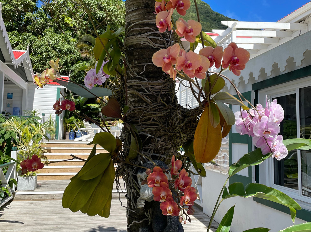 Juliana's Hotel主图