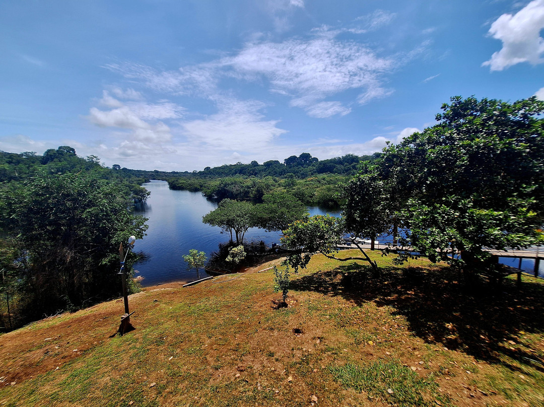 Amazon Brasil Jungle Tours-玛瑙斯必去景点