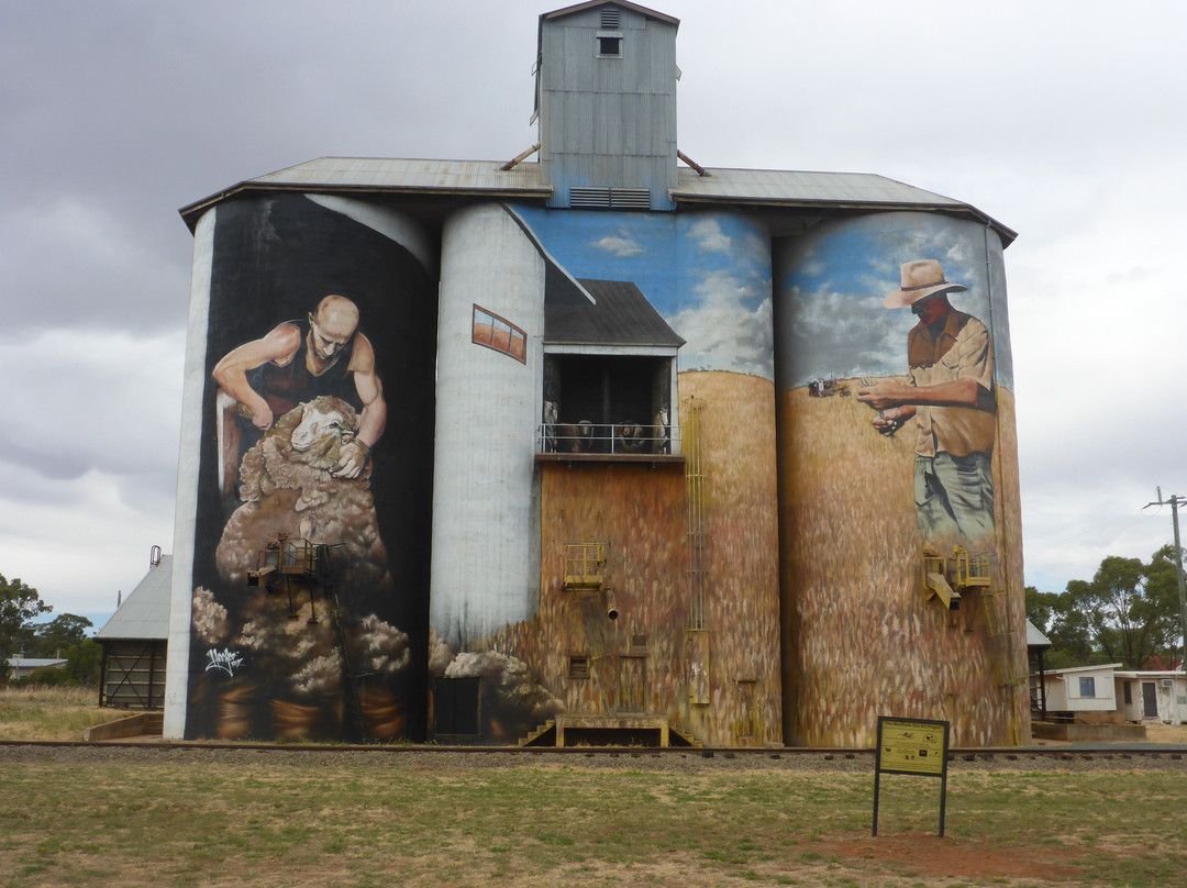 Weethalle Silo Art景点图片