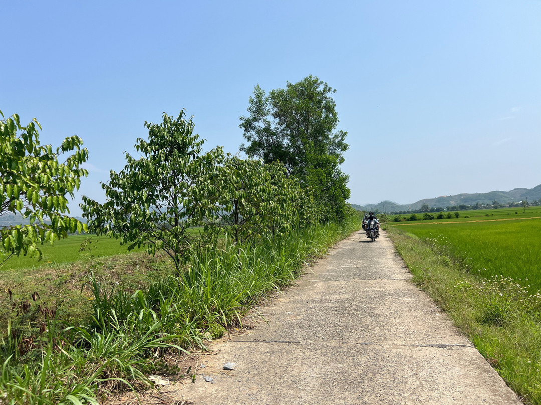 Original Easy Rider Vietnam-大勒必去景点