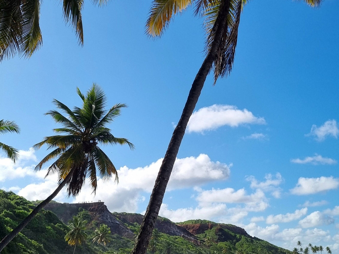 Coqueirinho Beach-Conde必去景点