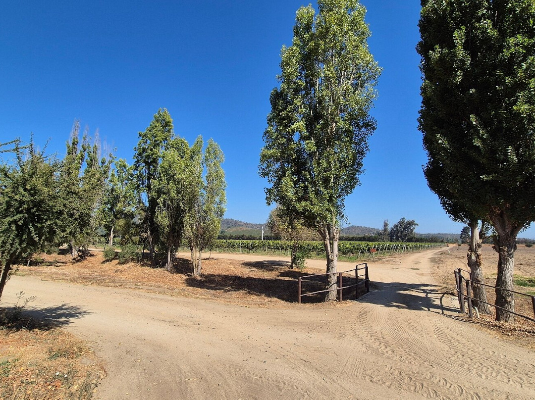 Casas del Bosque-卡萨布兰卡必去景点