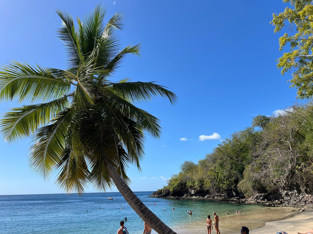 Anse Dufour-Les Anses d'Arlet必去景点