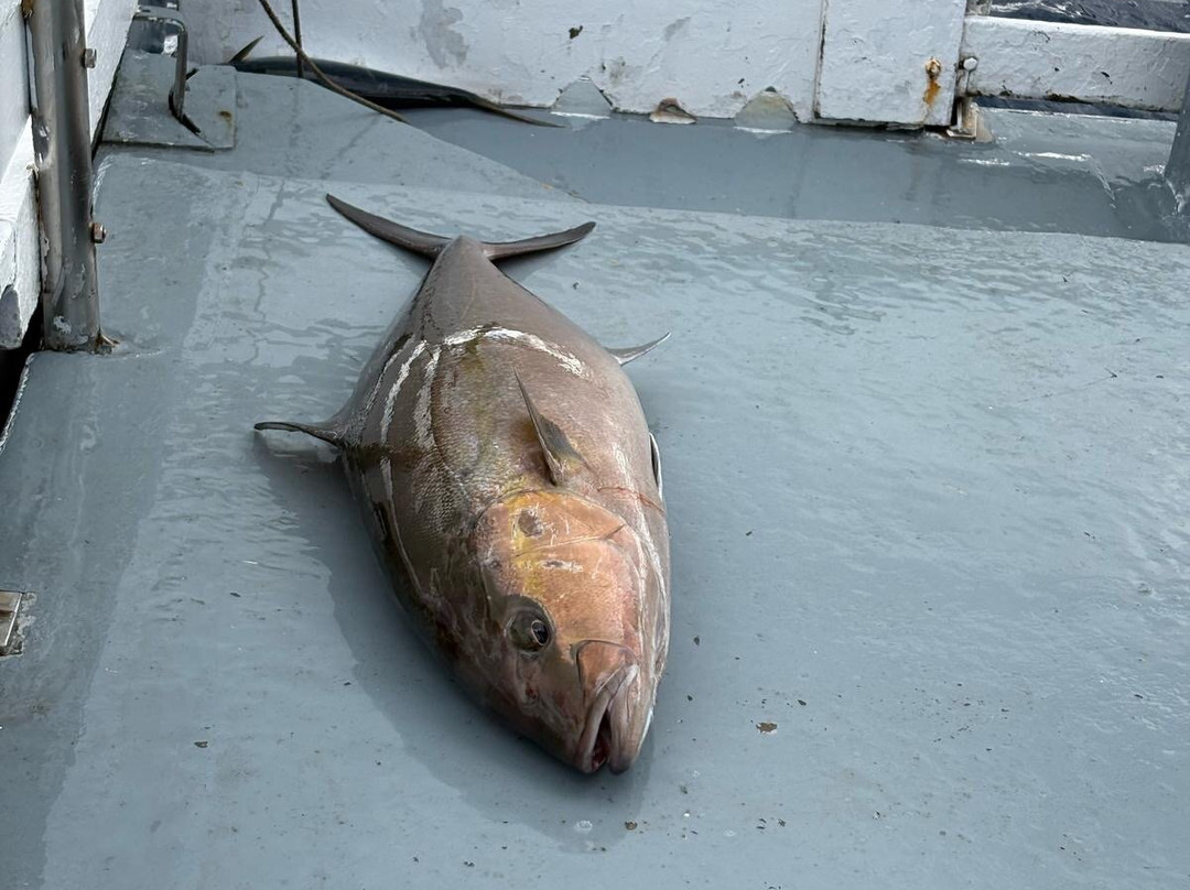 Wicked Wahoo St Helena-Jamestown必去景点