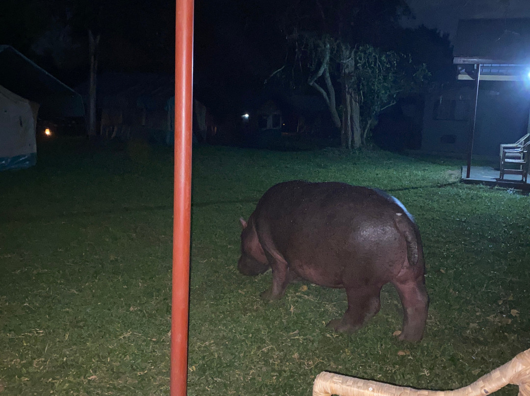 Muyaayu Wild Safaris-Mpigi必去景点