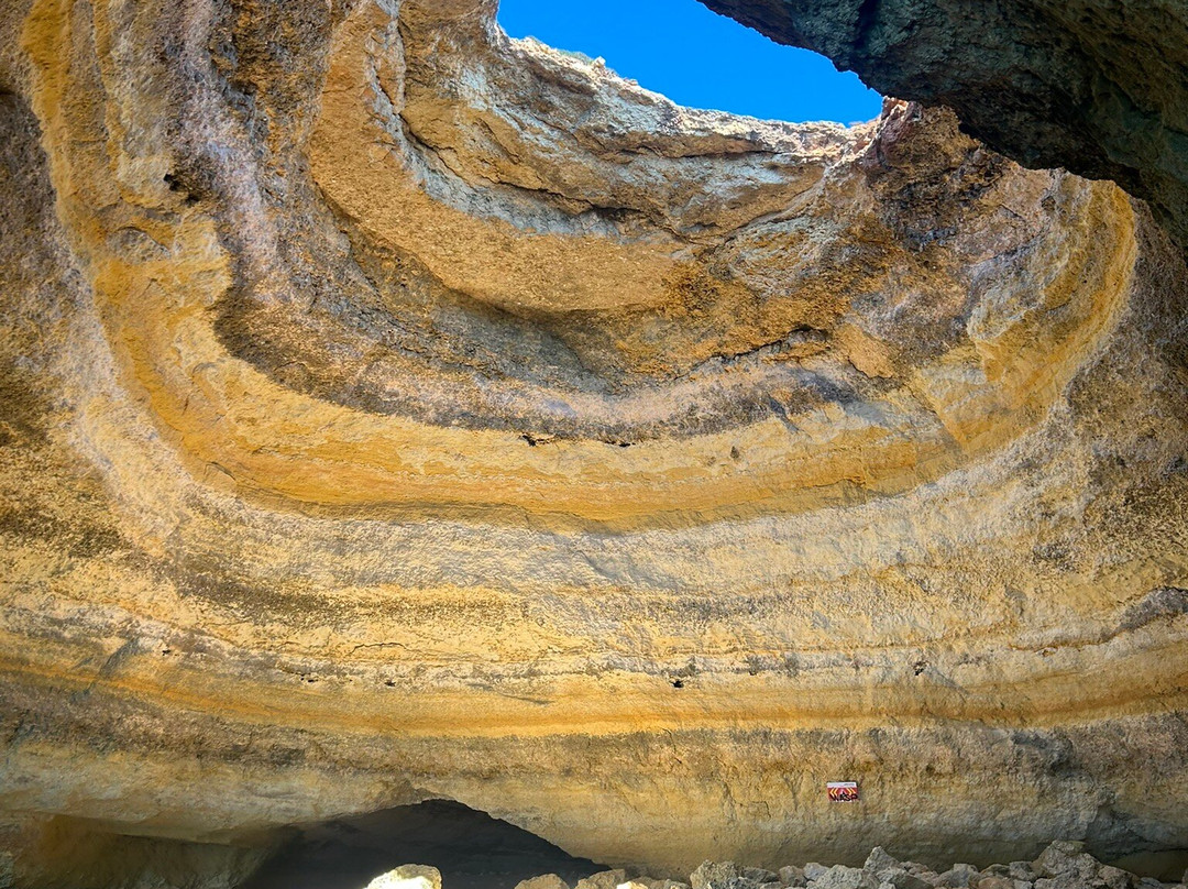 Treasure Tours景点图片