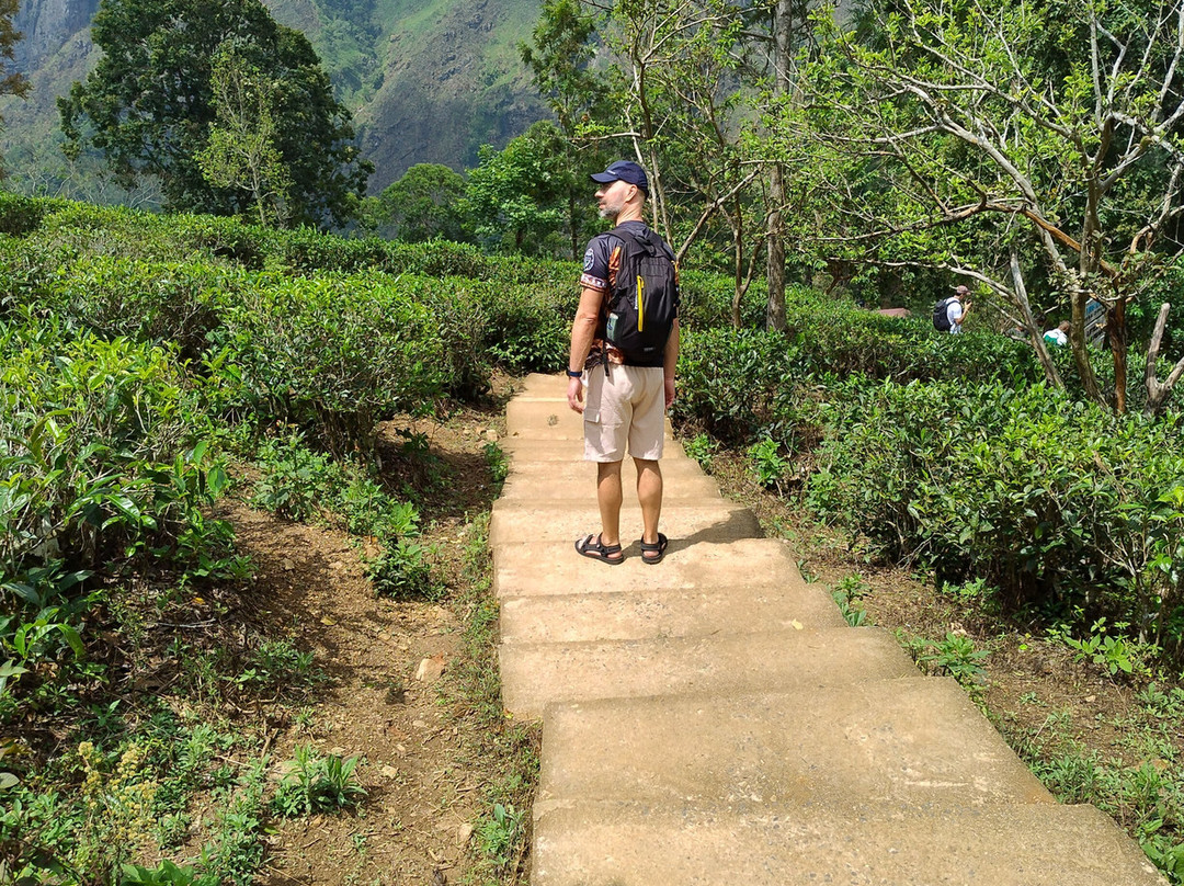 Sri Lanka Brothers Tour景点图片