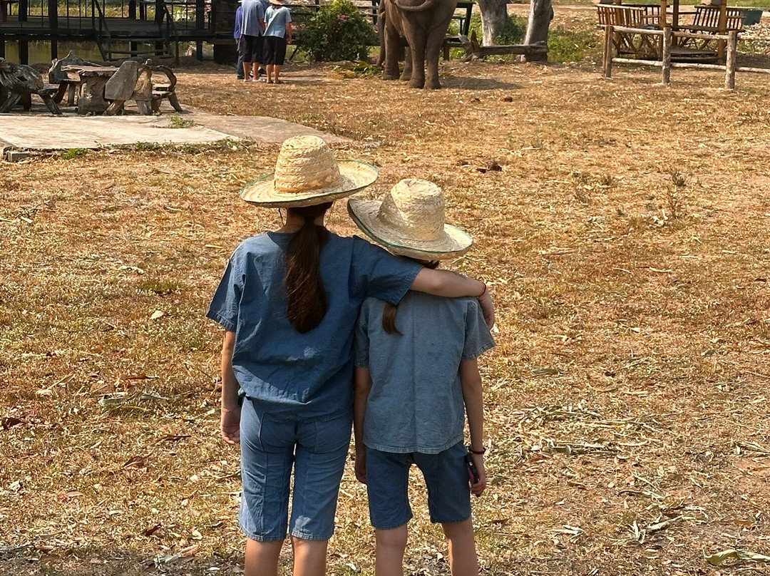 Lanna Kingdom Elephant Sanctuary-清迈必去景点